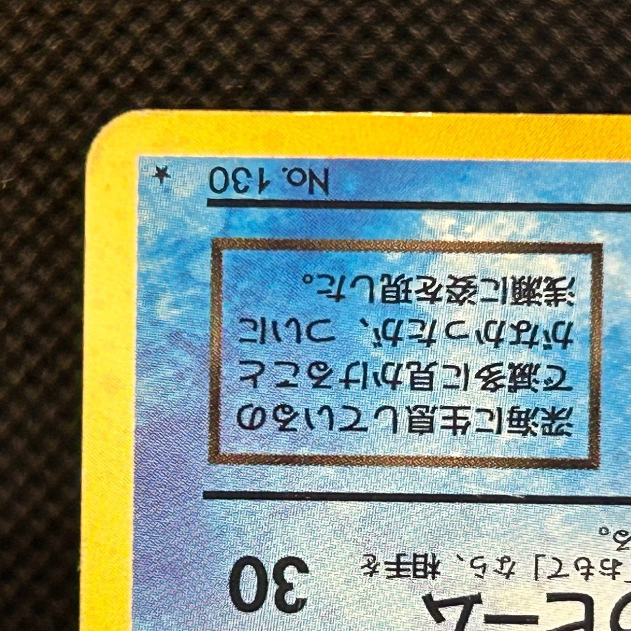 Dark Gyarados No.130 Team Rocket Old Back 1997 Japanese Pokemon Card MP — photo 5 of 11